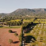 Catering y eventos en Mallorca – Grupo SMP